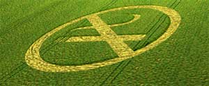 Crop Circle